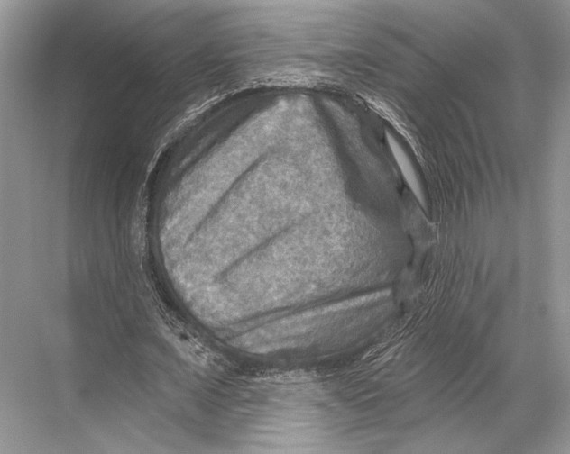 X0000067840675200605041650