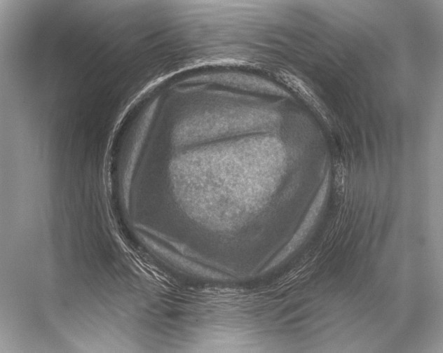 X0000067840676200605041650