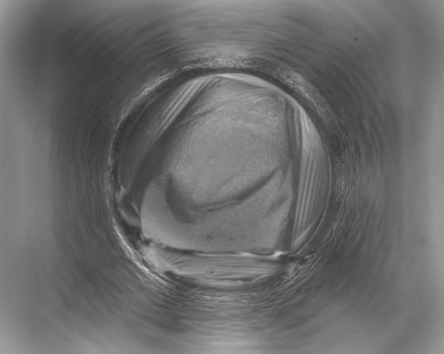 X0000067840677200605041650