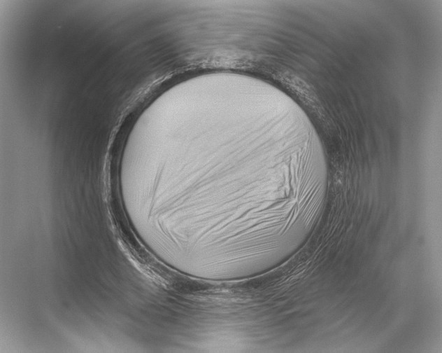 X0000067840678200605041650