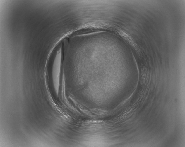 X0000067840680200605041650