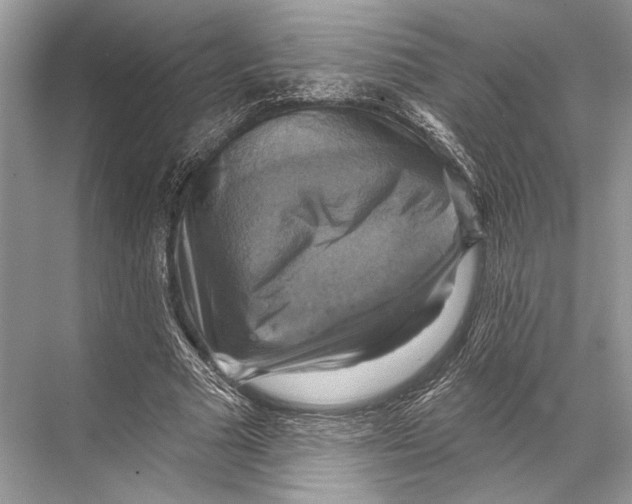 X0000067840681200605041650