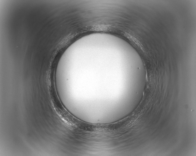 X0000067840682200605041650