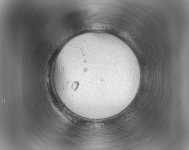 X0000067840683200605041650