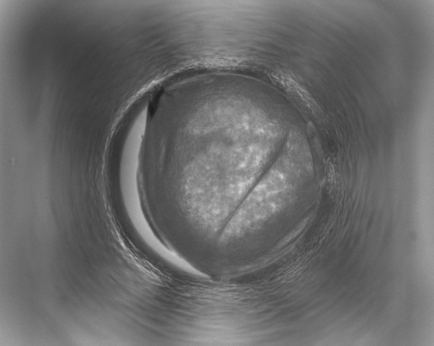 X0000067840684200605041650