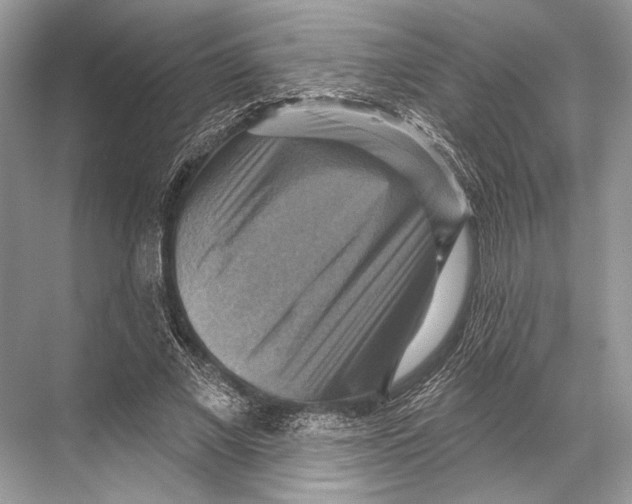 X0000067840685200605041650