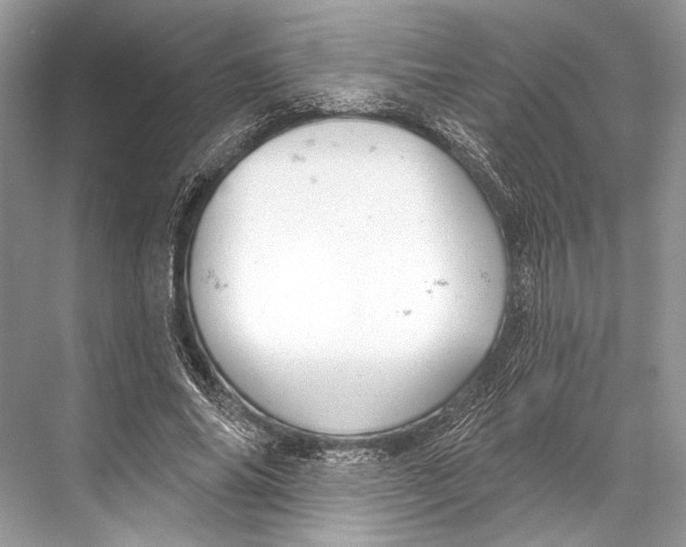 X0000067840686200605041650