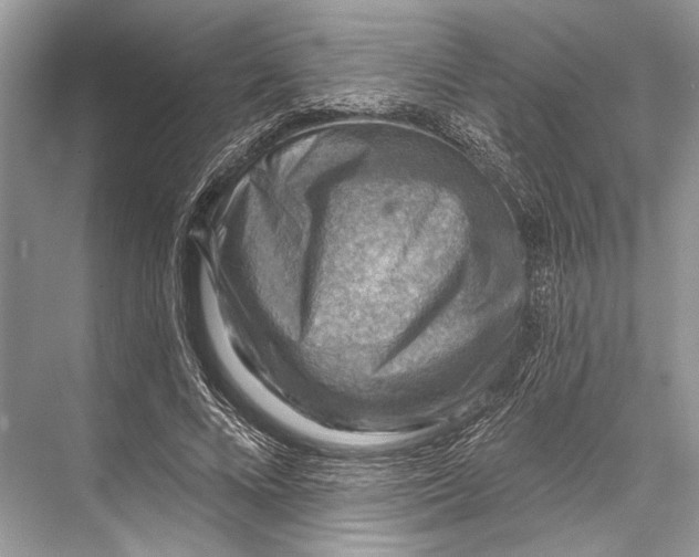 X0000067840688200605041650