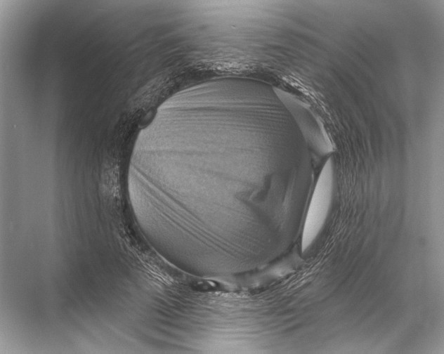 X0000067840689200605041650