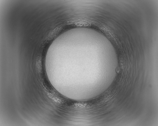 X0000067840690200605041650