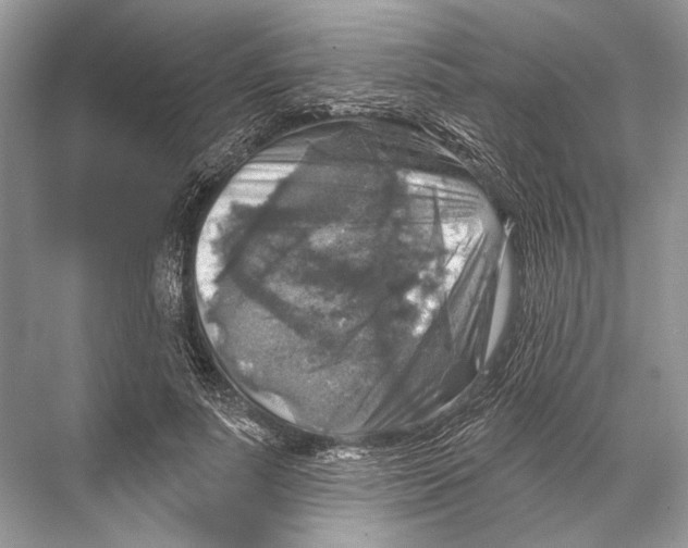 X0000067840691200605041650