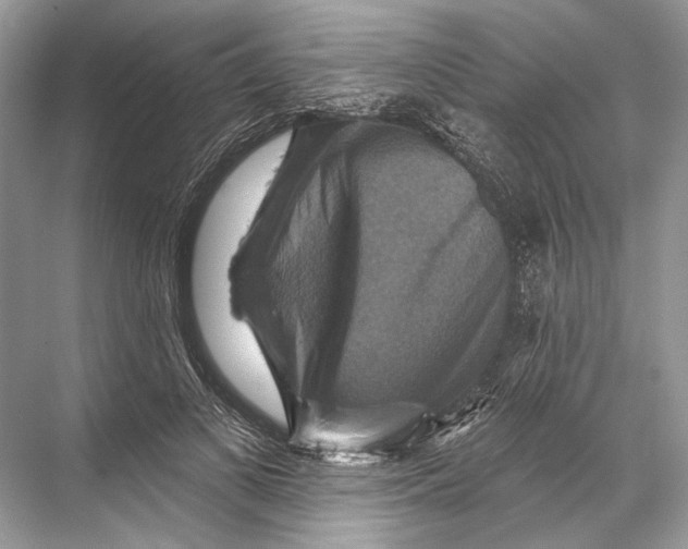 X0000067840693200605041650