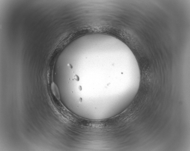 X0000067840694200605041650