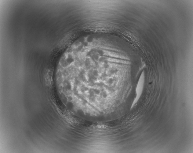 X0000067840695200605041650