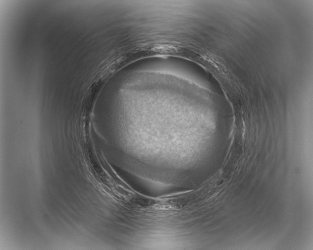 X0000067840696200605041650