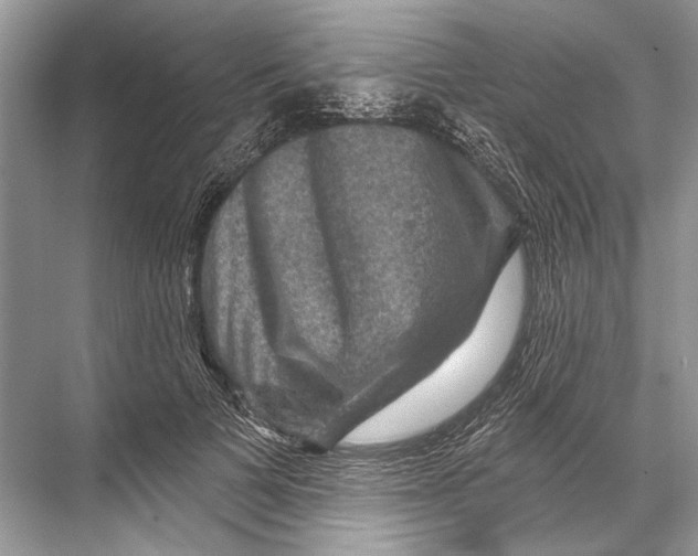 X0000067840697200605041650