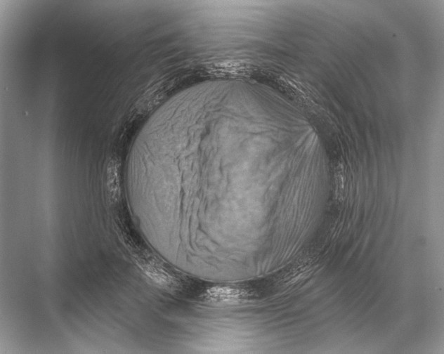 X0000067840699200605041649