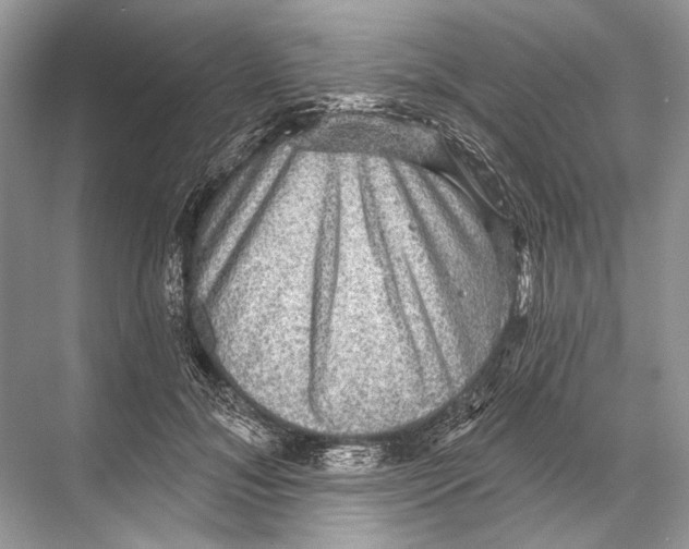 X0000067840700200605041649