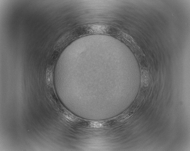 X0000067840701200605041649