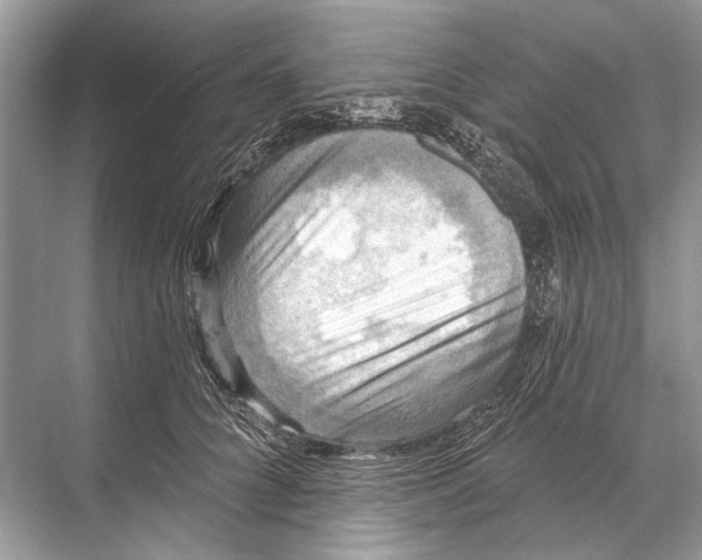 X0000067840704200605041649