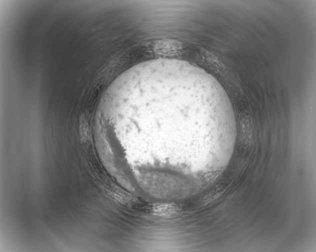 X0000067840705200605041649