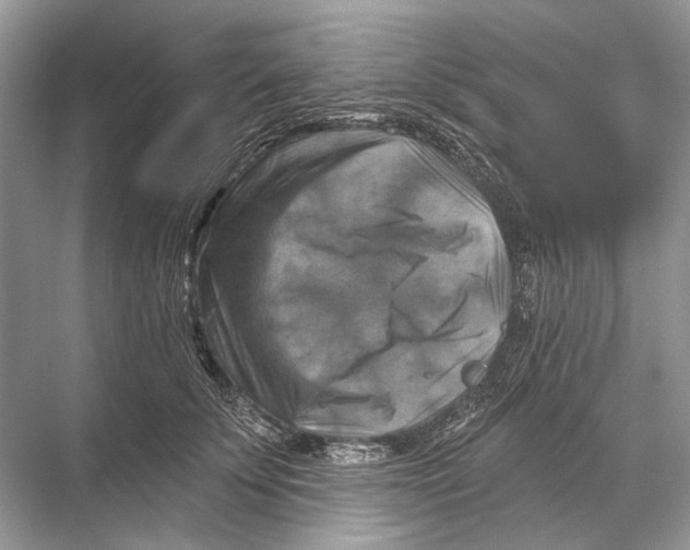 X0000067840707200605041649