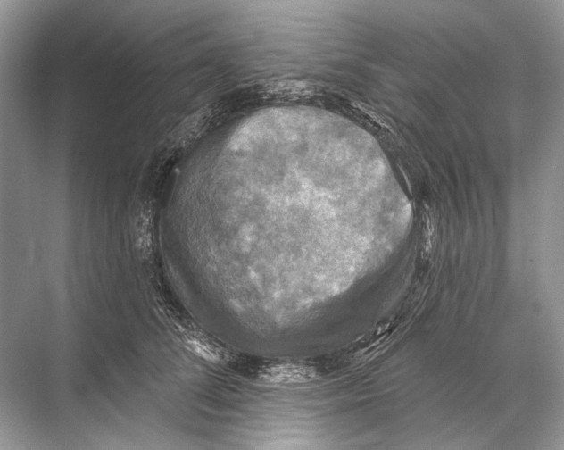 X0000067840708200605041649