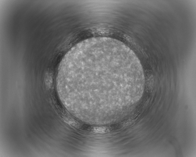 X0000067840709200605041649