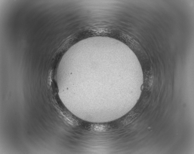 X0000067840710200605041649