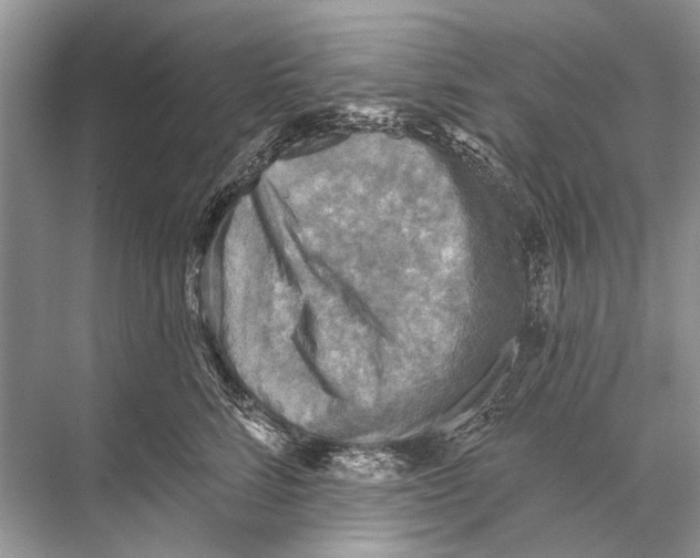 X0000067840712200605041649