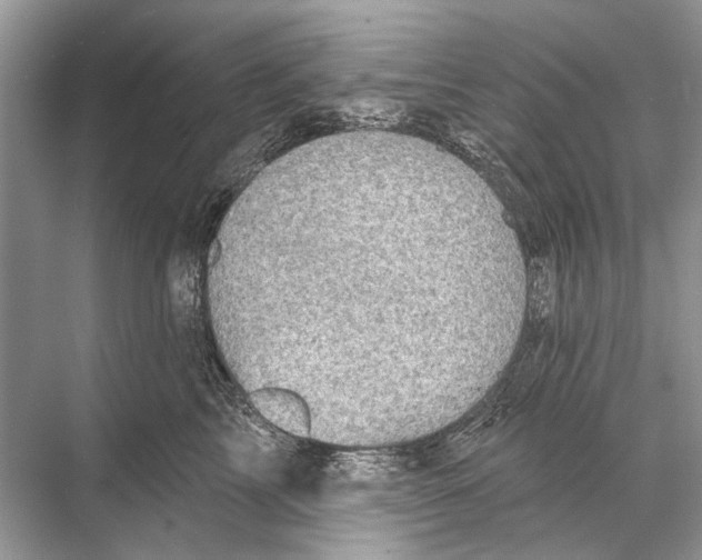 X0000067840713200605041649