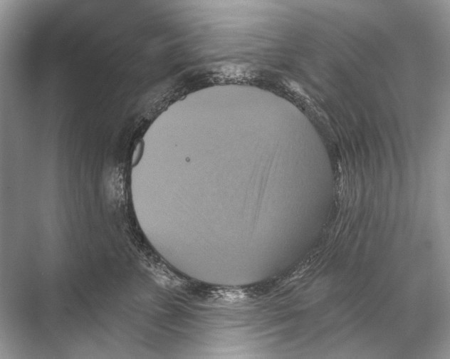 X0000067840715200605041649