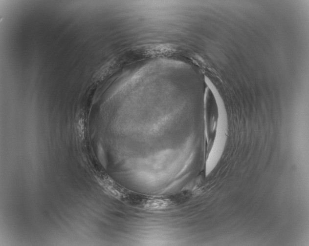 X0000067840716200605041649