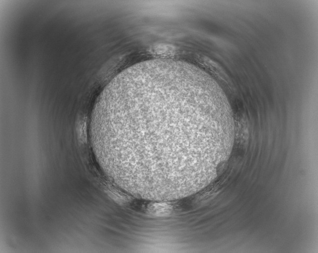 X0000067840717200605041649