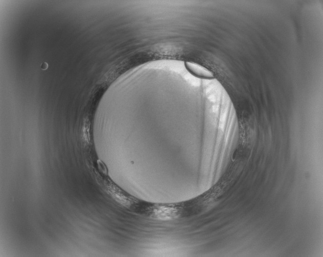 X0000067840718200605041649