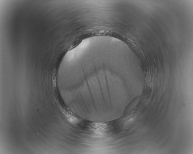 X0000067840719200605041649