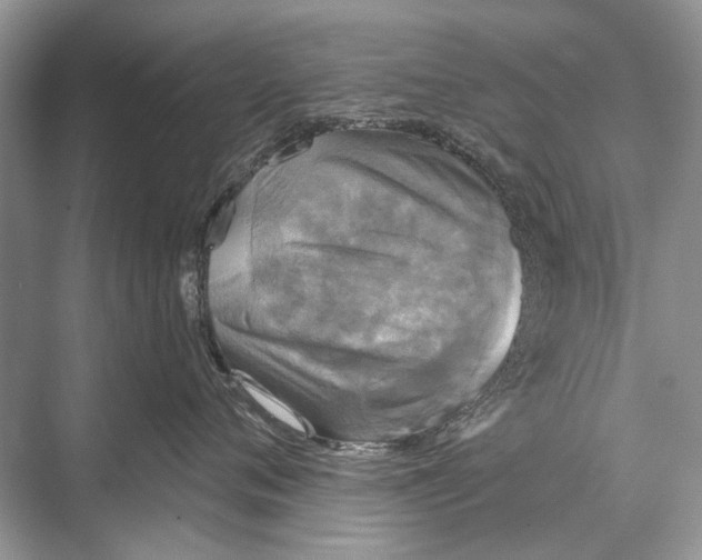 X0000067840720200605041649