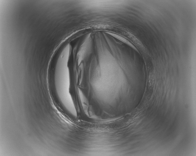 X0000067840722200605041648