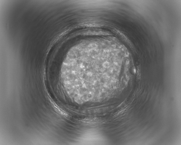 X0000067840725200605041648