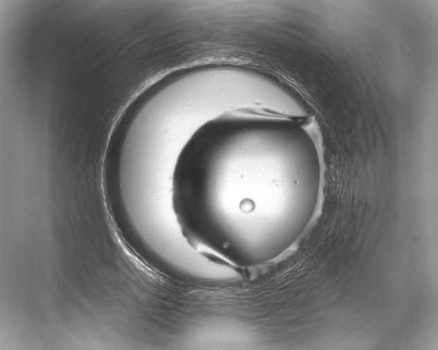 X0000067840726200605041648