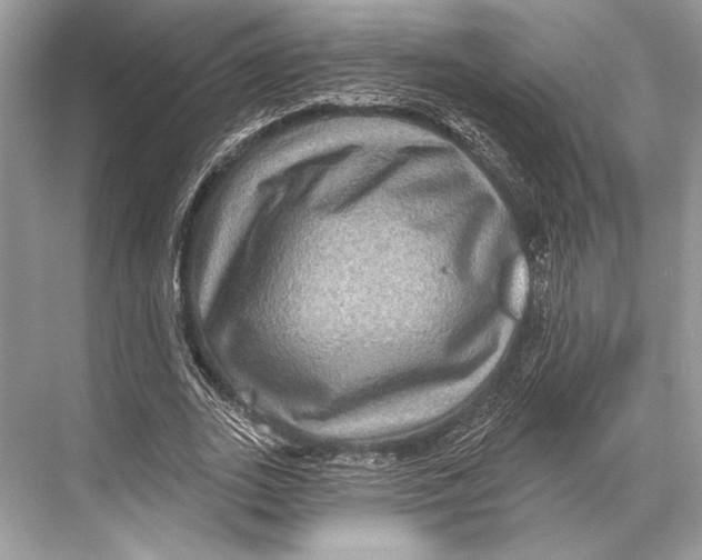 X0000067840727200605041648