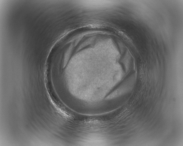 X0000067840730200605041648