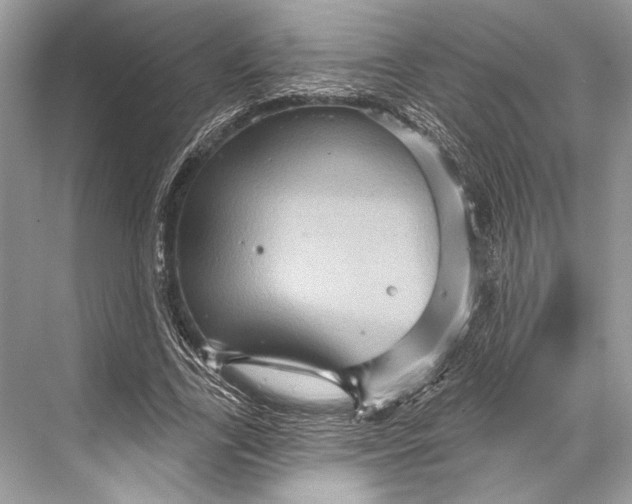 X0000067840731200605041648