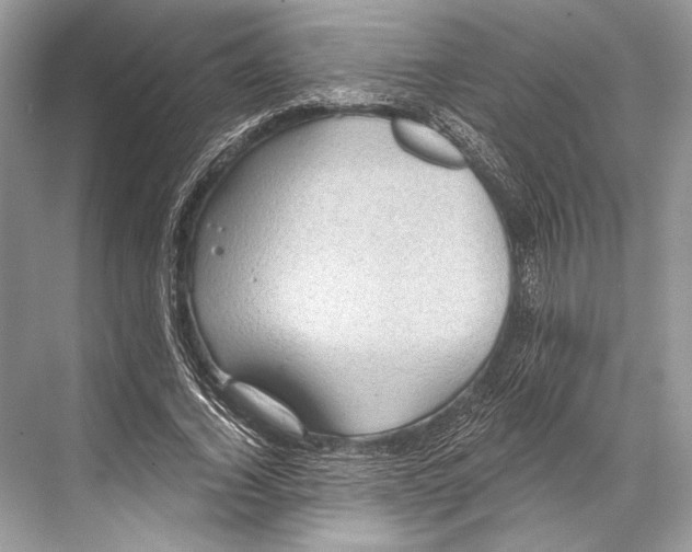 X0000067840732200605041649