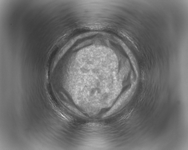 X0000067840733200605041649