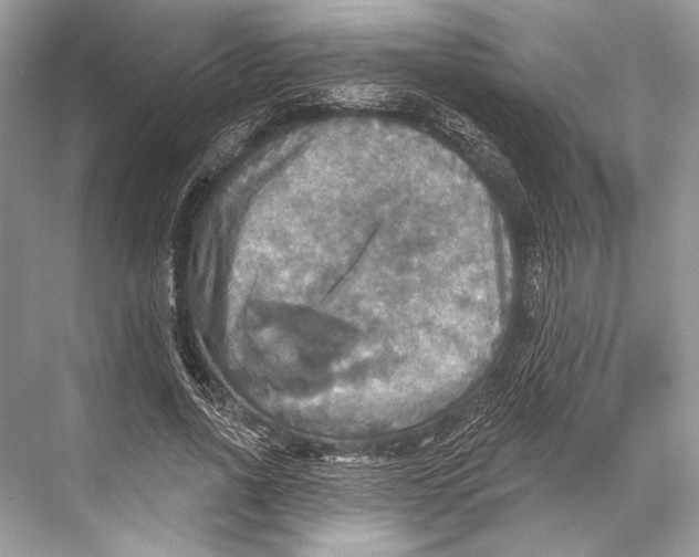 X0000067840734200605041649