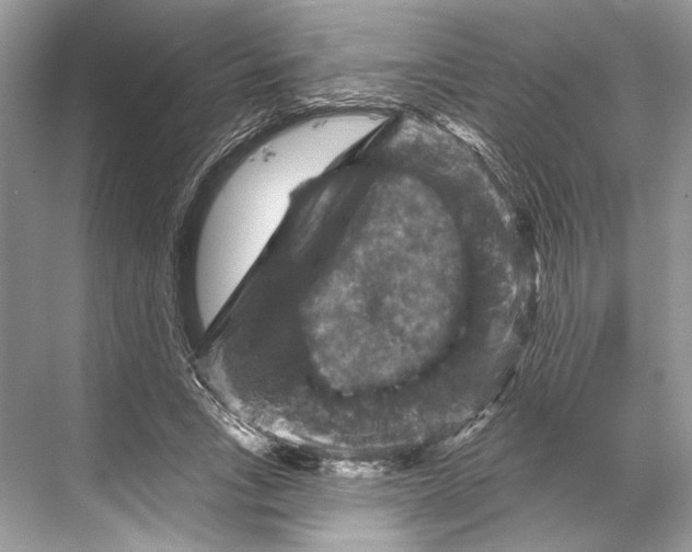 X0000067840735200605041649