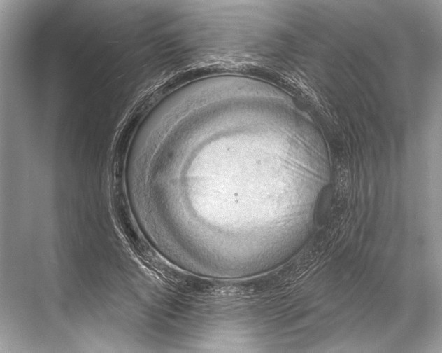 X0000067840736200605041649