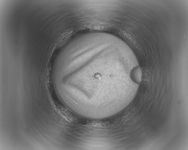 X0000067840738200605041649