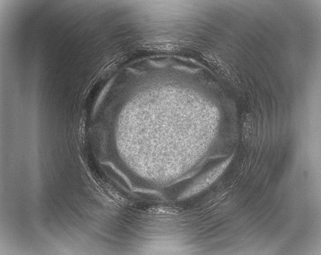 X0000067840739200605041649